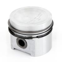 Pistons & Piston Rings