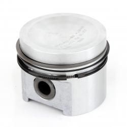 Pistons & Piston Rings