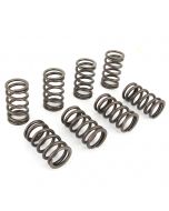 Single Valve Spring Set - 850/1000/1100 