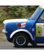 Mini Sport Large Flying Flag Sticker
