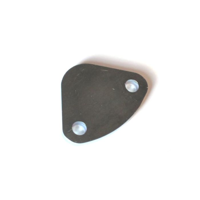 Mini Fuel Pump Blanking Plate  - Plated